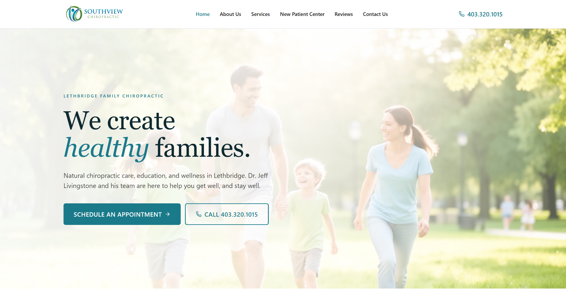 Southview Chiropractic website