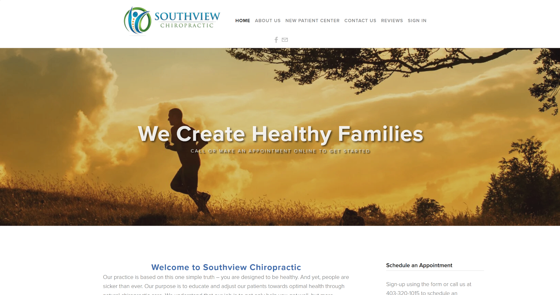 Southview Chiropractic previous website